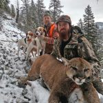 Guided Mountain Lion Hunts in Montana