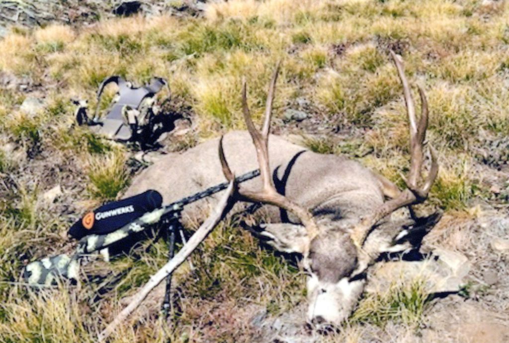 Bullseye Outfitting | Montana Mule Deer Hunting Guide