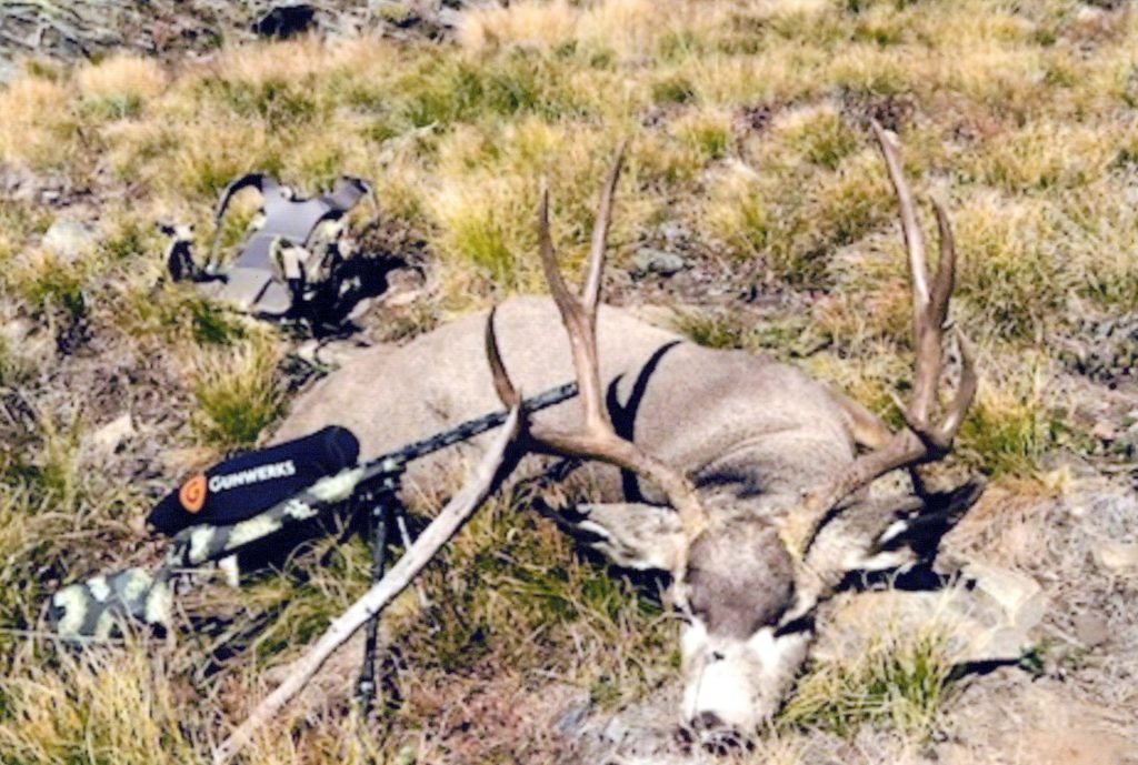 Bullseye Outfitting | Montana Mule Deer Hunting Guide