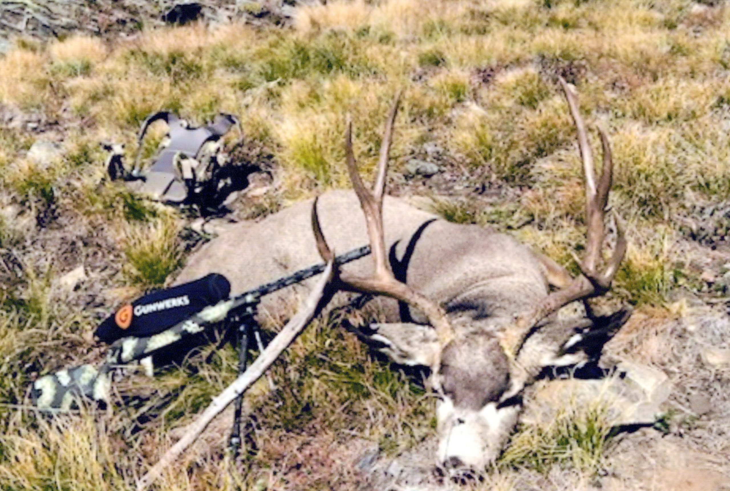 Bullseye Outfitting | Montana Mule Deer Hunting Guide